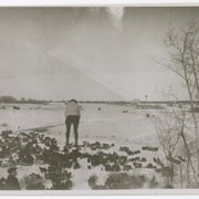 Cover image of Adolf Maland Camore Ski Jump about 1922